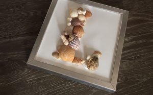 Tableaux de coquillages DIY by Matao